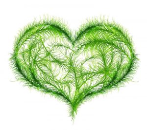 Grønt hjerte